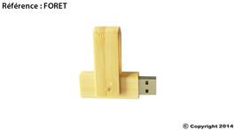 clé usb publicitaire bois foret