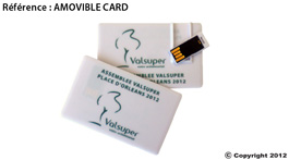 clé usb personnalisable amovible card