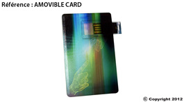 clé usb personnalisable amovible card