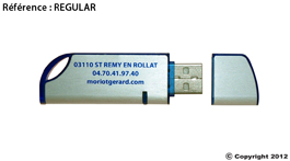 clé usb personnalisable regular