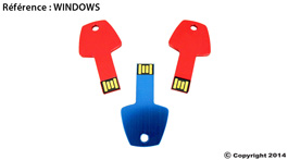 clé usb personnalisable windows