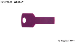 Clé usb personnalisée Webkey